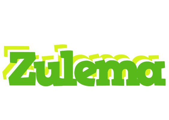 Zulema picnic logo