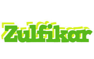 Zulfikar picnic logo