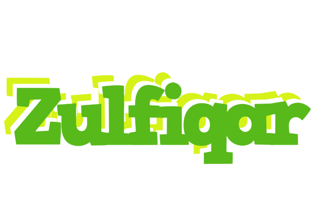Zulfiqar picnic logo