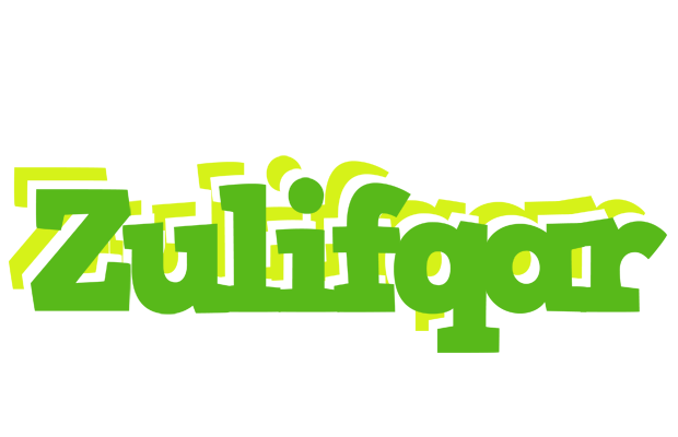 Zulifqar picnic logo