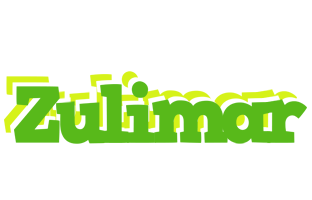 Zulimar picnic logo