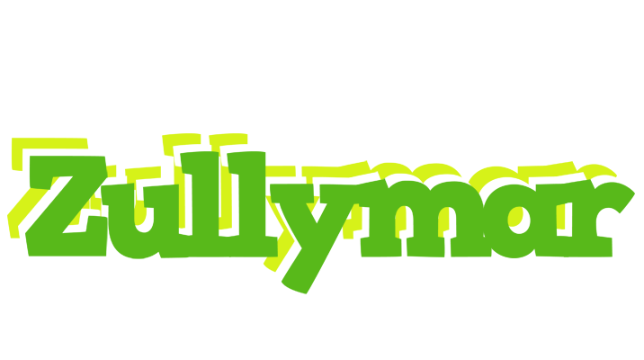 Zullymar picnic logo