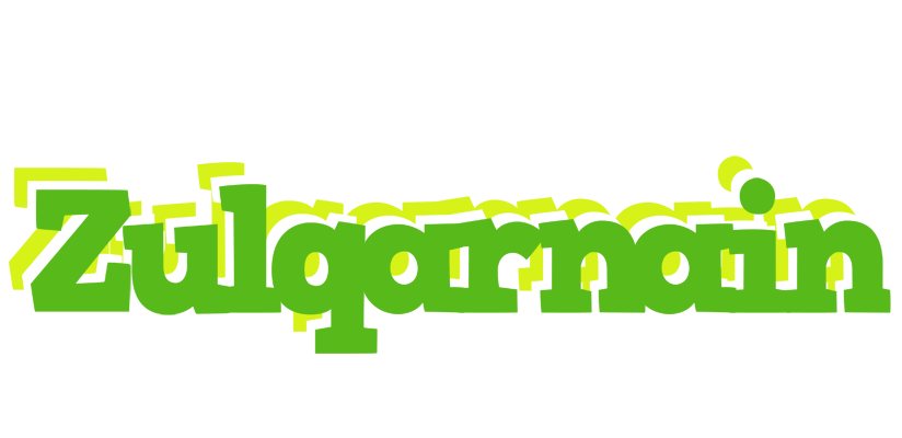 Zulqarnain picnic logo