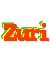 Zuri bbq logo