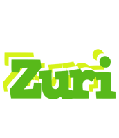 Zuri picnic logo