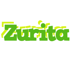 Zurita picnic logo