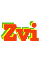 Zvi bbq logo