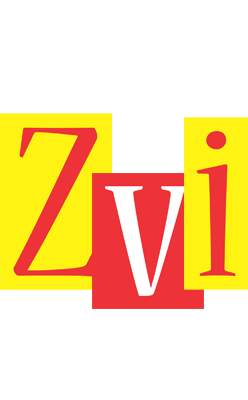 Zvi errors logo