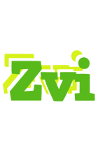 Zvi picnic logo