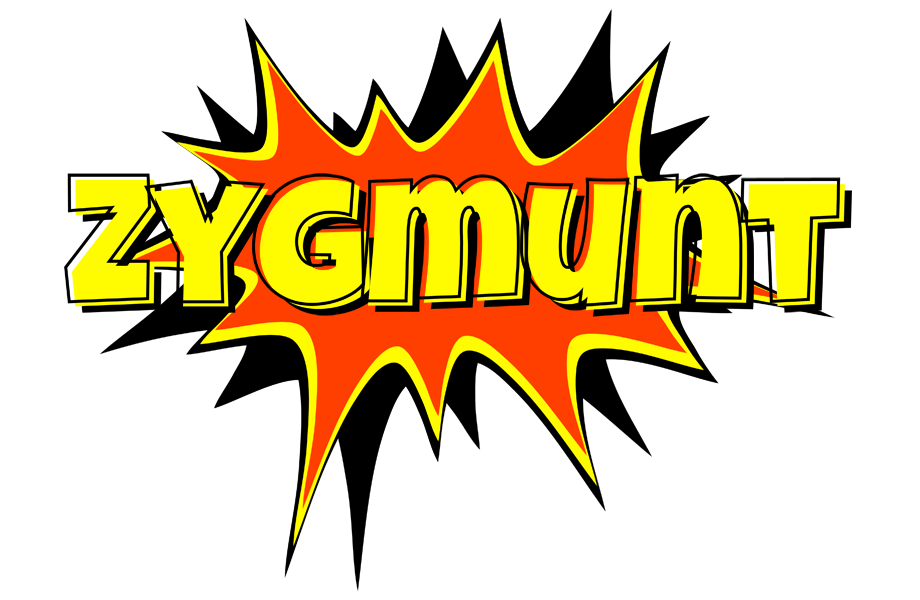 Zygmunt bazinga logo