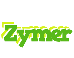 Zymer picnic logo