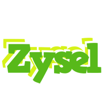 Zysel picnic logo