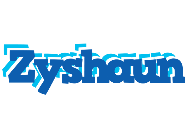 Zyshaun business logo