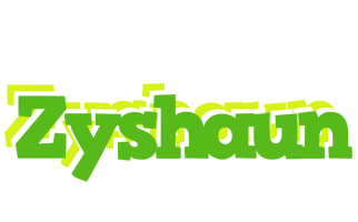 Zyshaun picnic logo