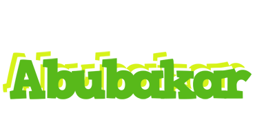 abubakar picnic logo