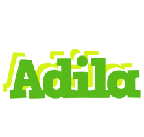 adila picnic logo