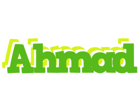 ahmad picnic logo