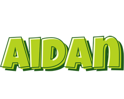 aidan summer logo