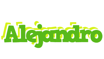 alejandro picnic logo