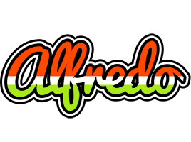 alfredo exotic logo