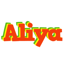 aliya bbq logo