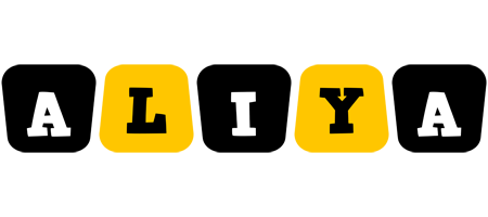 aliya boots logo