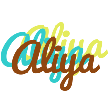 aliya cupcake logo