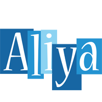aliya winter logo