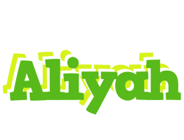 aliyah picnic logo