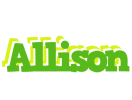 allison picnic logo