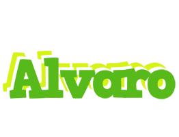 alvaro picnic logo