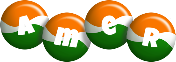 amer india logo