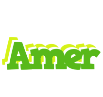 amer picnic logo