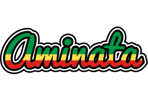 aminata african logo