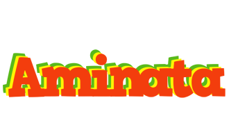aminata bbq logo