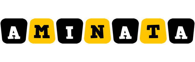 aminata boots logo