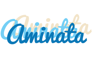 aminata breeze logo