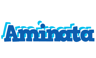 aminata business logo