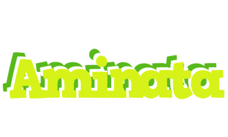 aminata citrus logo