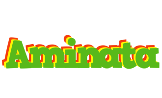 aminata crocodile logo