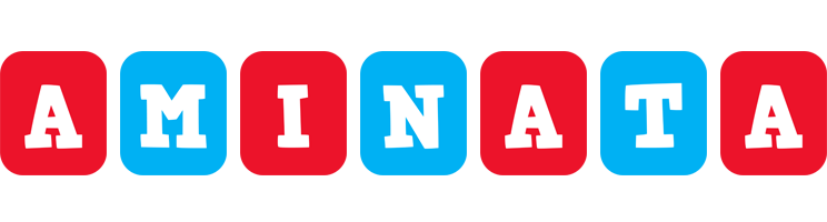 aminata diesel logo