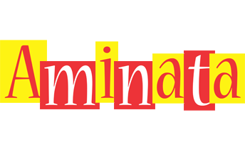 aminata errors logo