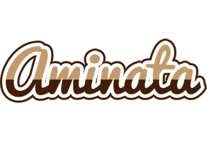 aminata exclusive logo
