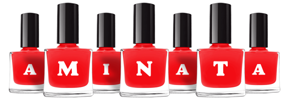 aminata fashion logo