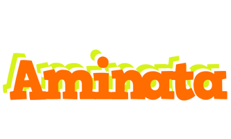 aminata healthy logo