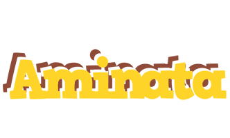 aminata hotcup logo