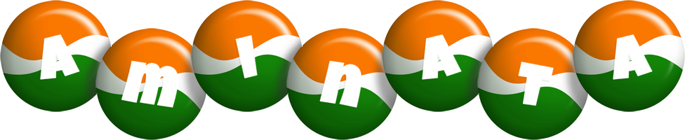 aminata india logo