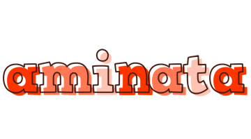 aminata paint logo