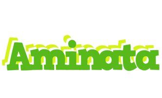 aminata picnic logo