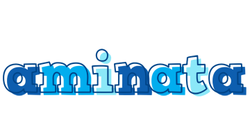 aminata sailor logo